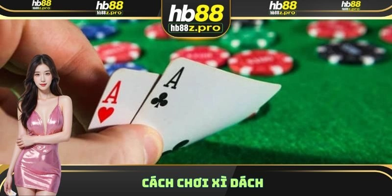 Cách Chơi Xì Dách Chuẩn Xác, Hiệu Quả Từ A – Z Cho Người Mới