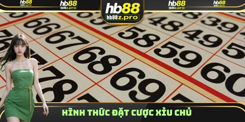 Hình thức đặt cược xỉu chủ
