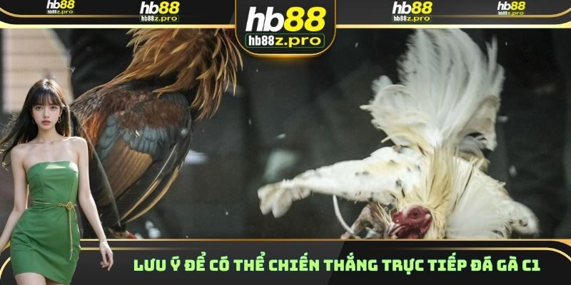 Lưu ý để có thể chiến thắng trực tiếp đá gà C1