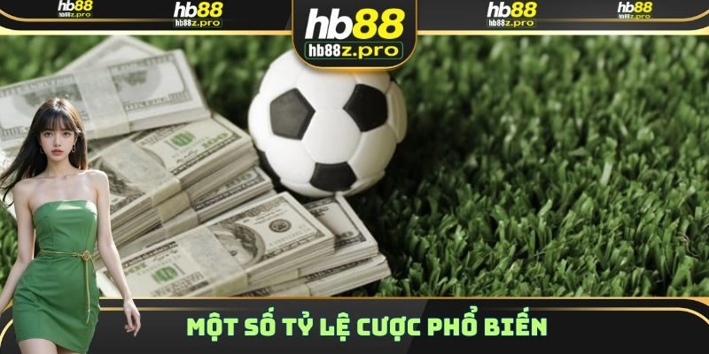 Hướng dẫn tân thủ các bước soi kèo nhà cái hiệu quả nhất