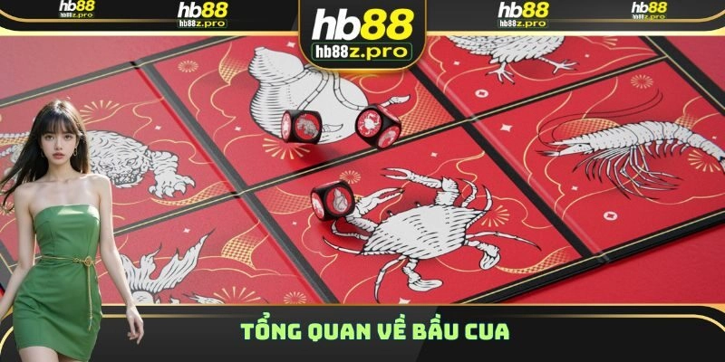 Tổng quan về bầu cua