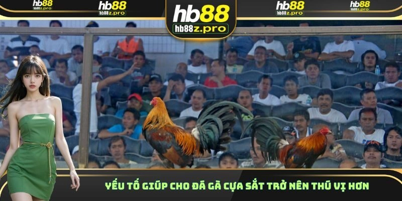 Yếu tố giúp cho đá gà cựa sắt trở nên thú vị hơn